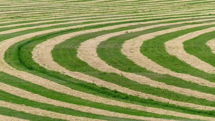 Innovations in Food Technology: Pioneering Sustainability