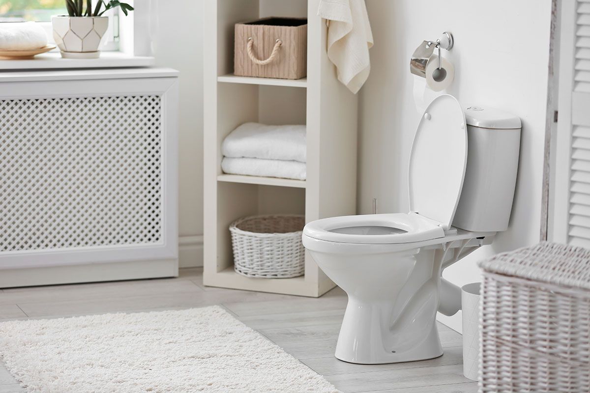 Top 5 most expensive toilets in the world