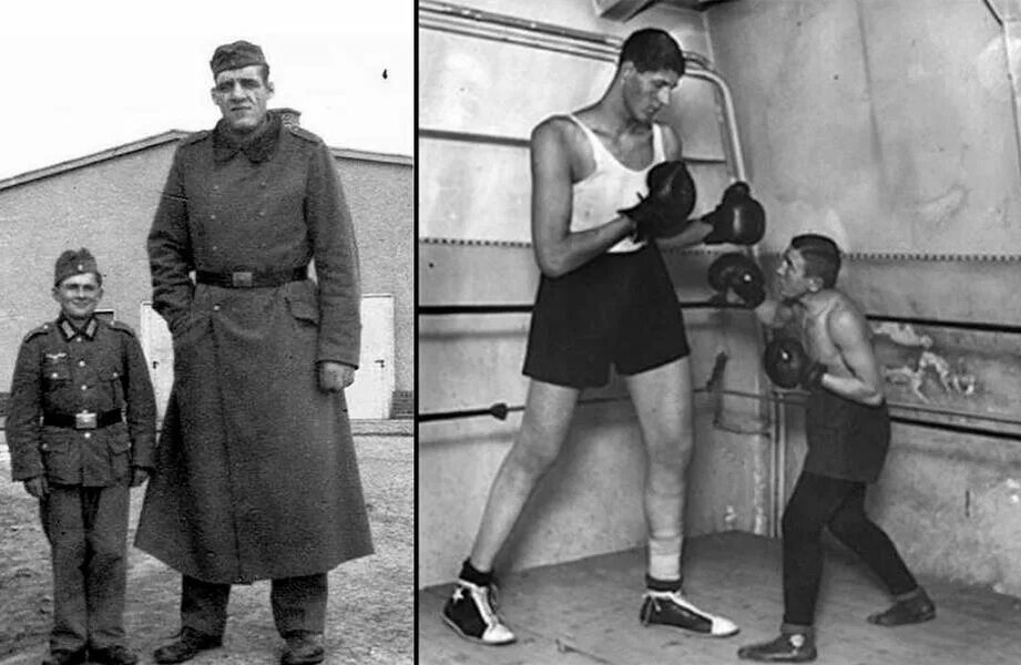 What was the fate of the tallest Wehrmacht soldier